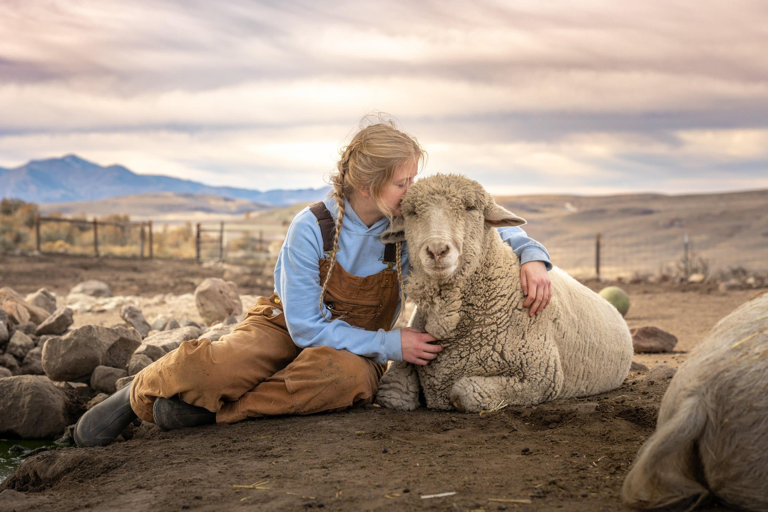 A team member kneeling with her arms around one of the sanctuary's sheep, with mountains in the background