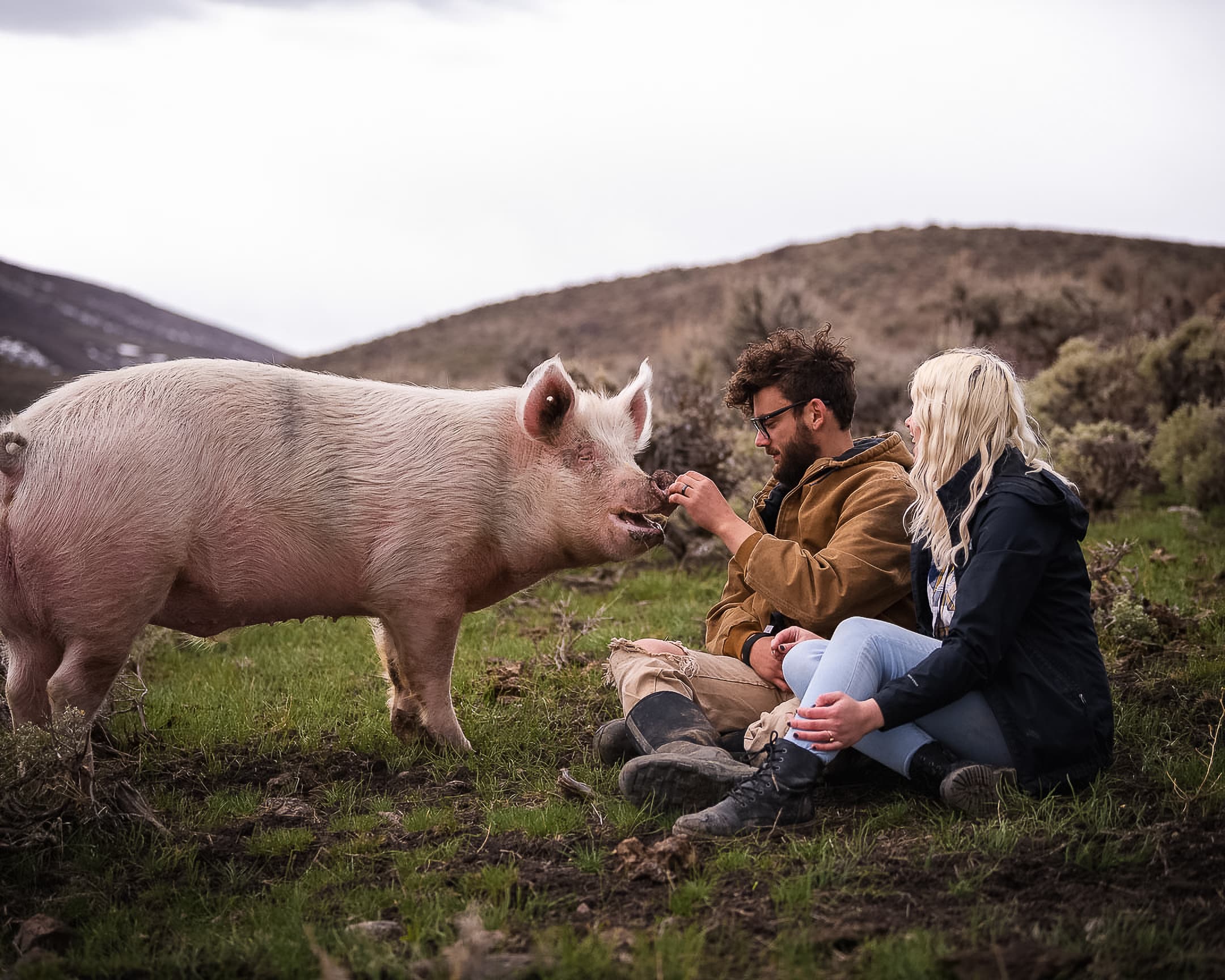 A visitor feeding one of the sanctuary's pigs in a mountain pasture