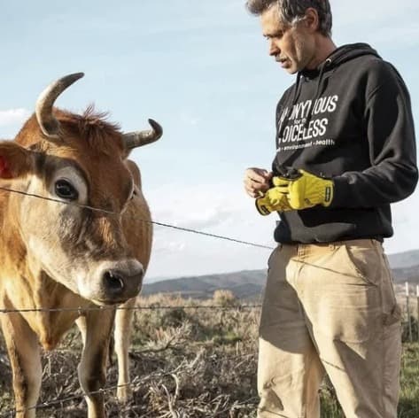 Smooch the steer, photo 1