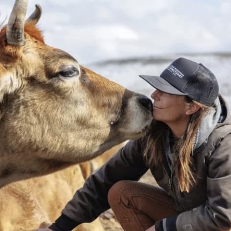 Smooch the steer, photo 2