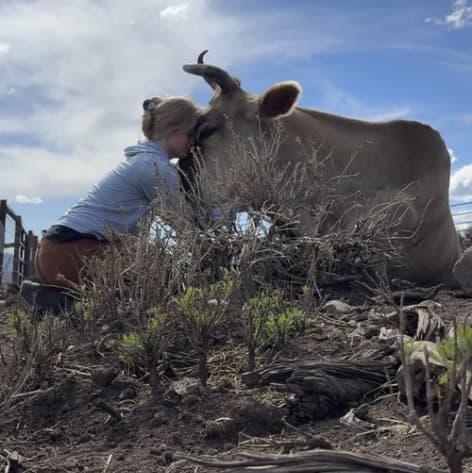 Smooch the steer, photo 8