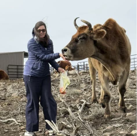 Smooch the steer, photo 9