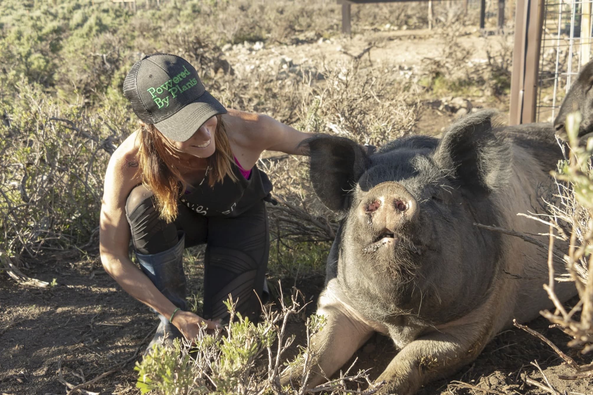 Wilma Jean the pig with Co-Founder Lauren Lockey
